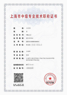 上海駭派職稱申報服務(wù)中心 專業(yè)技術(shù)人員的可靠伙伴